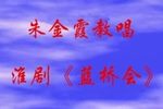 蓝桥会 选段