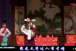 玉蜻蜓 全剧 高清
