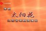 太阳花