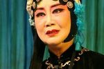 扬剧李开敏专场