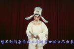 梁祝-回十八 扬剧金派名段展播