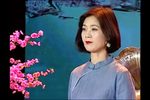 秦香莲后传
