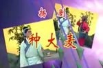种大麦