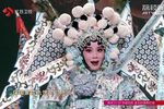 百岁挂帅·登高丘下载