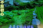 哑女告状 赴京