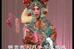 女审 高清字幕版