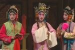 春草闯堂 1集