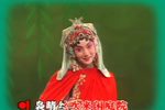 牡丹亭·游园 上集