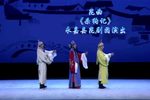 杀狗记