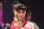 牡丹亭·問花