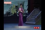 牡丹亭 惊梦