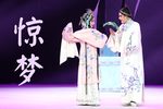 牡丹亭·惊梦 梦幻联动系列之一下载