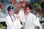 牡丹亭·拾画叫画