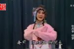 牡丹亭 惊梦 1985年