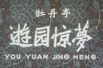 牡丹亭-游园惊梦