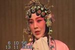 牡丹亭?惊梦