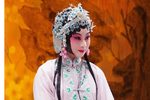 牡丹亭-寻梦
