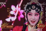 桃花扇 片段