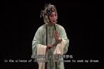 牡丹亭·寻梦 高清中英字幕下载