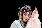牡丹亭·寻梦 高清中英字幕下载