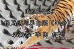 杨乃武与小白菜 选段 下应甬剧团