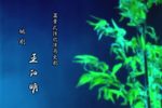 王阳明 全2集