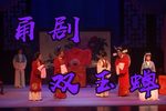 双玉蝉