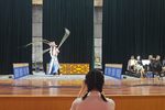 双枪陆文龙