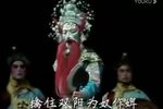 双阳与狄青