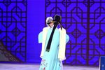 牡丹亭 幽媾