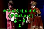 狸猫换太子 第一本上