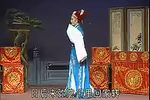 婺剧 孟丽君 碟片版