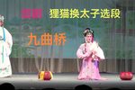 狸猫换太子 九曲桥