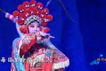 三请梨花 第五场 一请梨花