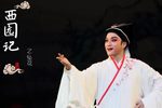 西园记 全本