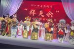 龙凤阁 下 别名二进宫