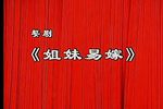 姐妹易嫁 全剧 标清