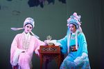 孟丽君——书房会