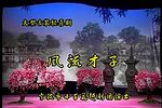 风流才子