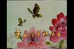梁祝 1951下载
