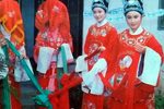 桃李梅 修复版