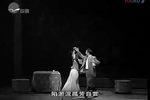 蔡锷与小凤仙