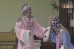 孟丽君下载