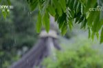 梁山伯与祝英台 高清修复版（2021）