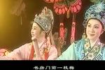 诗意的蝴蝶