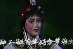 慧梅·劝婚