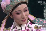孟丽君·书房会