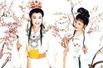 红楼梦 2003年高清戏曲艺术片