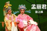 孟丽君·游上林