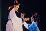 江南女巡按